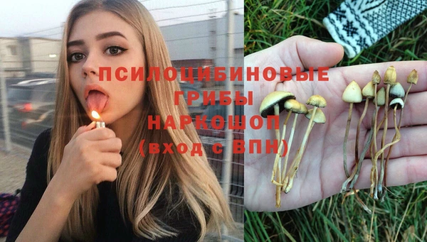 соль курить ск Арсеньев