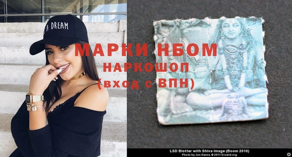 гашик Фурманов