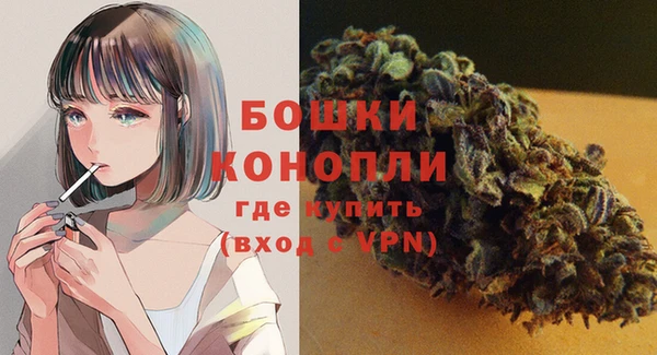 Альфа ПВП Аркадак