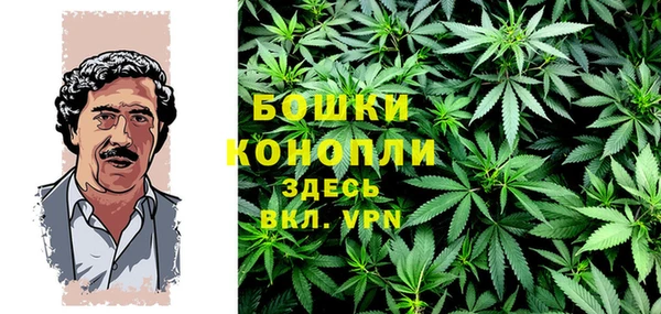 дживик Осташков